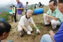 廖柏伟教授身体力行，体验植树乐趣