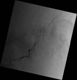 The CUHK Satellite Station captured a satellite image on 27 March 2008, which shows the oil spill around 300 km away from Hong Kong