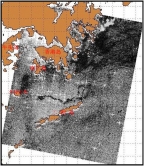 圖1：2010年5月19日10時13分ASAR油污遙感探測圖像