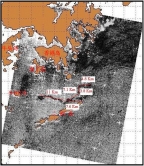 图2：2010年5月19日10时13分ASAR油污遥感探测面积估算

长度合计 = 34.3 Km
平均宽度 = 0.5 Km
厚度 = 0.1mm （参考原油/燃料油厚度）
大约面积 = 17.15 平方公里
大约体积 = 1715 立方米