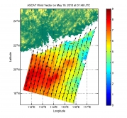 图4：2010年5月19日9时48分NSCAT风场数据（数据来源：http://jpl.nasa.gov/）