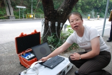 Using different methods to assess the density of a tree in order to determine the extent of internal decay: Sonic Tomograph