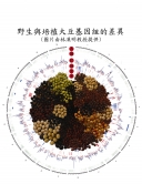 Genomic differences between wild and cultivated soybeans