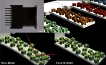 An array of microcantilevers coated with different molecular imprinted polymer detects various PAHs in air