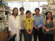 Qu Dan (middle), a fourth-year biochemistry student, and her lab-mates in Harvard Medical School.