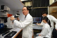 A research team led by Prof. Fung Ming-chiu from the School of Life Sciences, CUHK found that both normal cells and cancer cells can reverse a chemical induced dying process, with implications of mutagenesis and cancer progression.