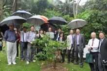 A Chinese holly is planted on CUHK campus in memory of Professor Hu Shiu-ying’s lifelong devotion and contributions to botanical research.