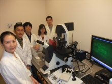 Prof. Jiang Liwen and his research team have achieved many breakthroughs in cell research over the past ten plus years.