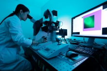 Researcher viewing plant cell action through a spinning disk confocal microscope (Photo by Keith Hiro)