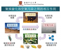 The interactive effects of climate change and air pollution on agriculture