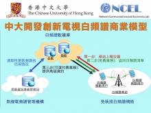 白頻譜網絡資訊巿場模型