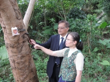 The ‘Tree Guard Monitoring System’ allows round-the-clock surveillance against possible tree theft, as well as risk of collapse for tilt and sick trees.