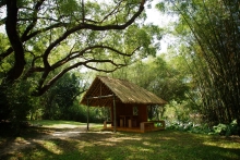 The thatched cottage designed by Prof. Thomas Chung and students from School of Architecture at Lake Ad Excellentiam.