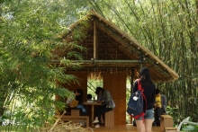 Bamboo scrolls are provided at the thatched cottage for people to write down their thoughts.