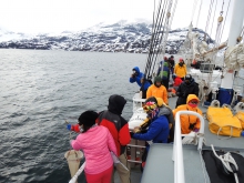 Students from various disciplines conduct ten research projects on topics including ecology, climate, geography and Inuit culture on the west coast of Greenland.