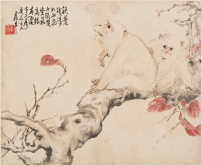 白猿圖
近代 黃侃（1890-1976）
1940年作
紙本設色斗方
28.7x35.4釐米館藏編號：2001.0240
北山堂惠贈