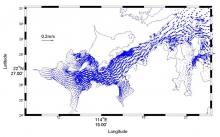 The forecast system for coastal marine dynamic environments shows the surface ocean current in the Tolo Harbour.