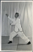 A demonstration of the right chopping fist with hill-climbing stance by Master Wong Hon Fan.