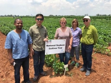 Professor Hon-ming Lam collaborates with South African researchers to grow soybeans in marginal lands.