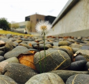 Champion work of the Eco Tour Photo Contest 2017  (Student Category)