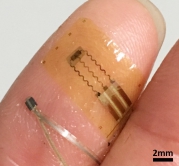 An epidermal photo detector