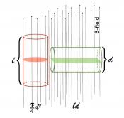 Field lines work like rubber bands.  Assuming a constant field strength, a cylindrical cloud perpendicular to the field will intersect more field lines than when the same cylinder is arranged aligned with the field. More field lines mean more support against the gas getting denser under self-gravity and thus can better hinder star formation.