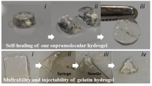 水凝膠具備良好的延伸性，能緩慢降解，破碎後能自我復原，有利促進軟骨修復。