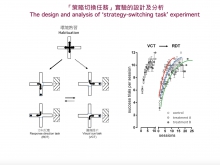 研究团队对实验小鼠进行一项策略切换任务实验，观察它们在掌握新规则前后犯错的次数和模式。