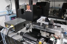 DH-TPE microscope is powered by a digital micromirror device. It can generate simultaneous video-rate fluorescent images, which allow the tracking of nerve cells activities.