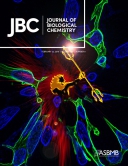 JBC cover story: AQAMAN is displayed as a hero breaking down toxic protein aggregations inside a cell.