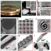 圖1： FP-TPL打印技術以亞微米（即submicron，1微米以下）的精密度打印複雜的3D結構。
（A）－（C）放置在一枚美元一分硬幣上的打印成品，為毫米級結構，當中包含了亞微米級之微型特徵。打印時間為8分鐘20秒，成品是2.20 mm × 2.20 mm × 0.25 mm長方體，3D打印速度為每小時8.7 mm3。若以現行常用的串行技術打印，需時數個小時。
（D）3D微型柱體，通過堆疊2D層進行打印，結構比例均勻，是串行掃描系統無法達到的精密水平。柱體與人的髮絲粗细相當，内部更细密的打印結構清晰可見。
（E）和（F）幾毫秒內完成單層掃描，毋需任何支撐平台亦能打印出曲線螺旋結構。
（G）－（J）通過拼接多個工作區域投影來打印出來的大跨度的懸垂3D結構，顯示FP-TPL前所未有的打印能力。
（G）90度懸垂橋的結構，整道橋細節微小，懸垂部分佔比高，當中結構達亞微米精密度，難以通過串行技術或其他現行技術進行打印。