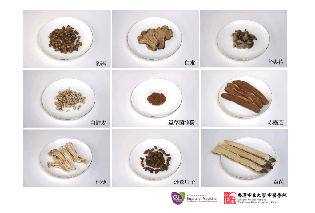 中大調配的「玉屏風散加味」新中藥方劑由黃芪、防風、白朮、辛夷花、炒蒼耳子、赤靈芝、桔梗、白鮮皮和蟲草菌絲粉等組成。