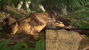 3D reconstruction of a reclining Psittacosaurus showing the long umbilical scar surrounded by distinctive scales that was identified by study team. <br />
Image credit: Jagged Fang Designs.