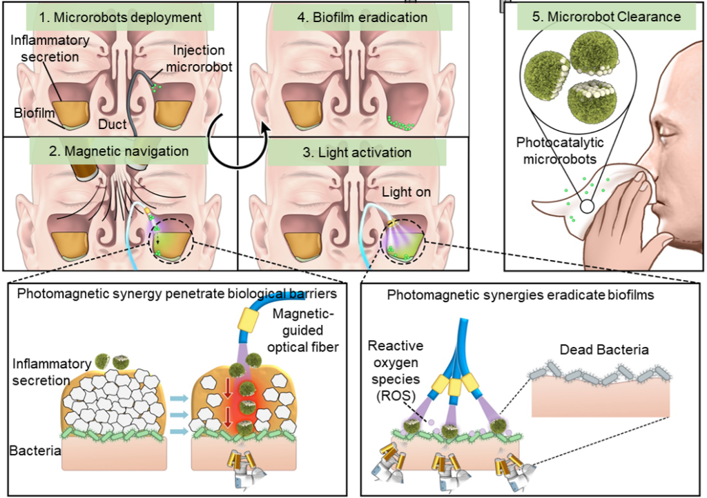 Therapeutic mechanism of photocatalytic microrobots in sinus biofilm infections