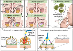 Therapeutic mechanism of photocatalytic microrobots in sinus biofilm infections