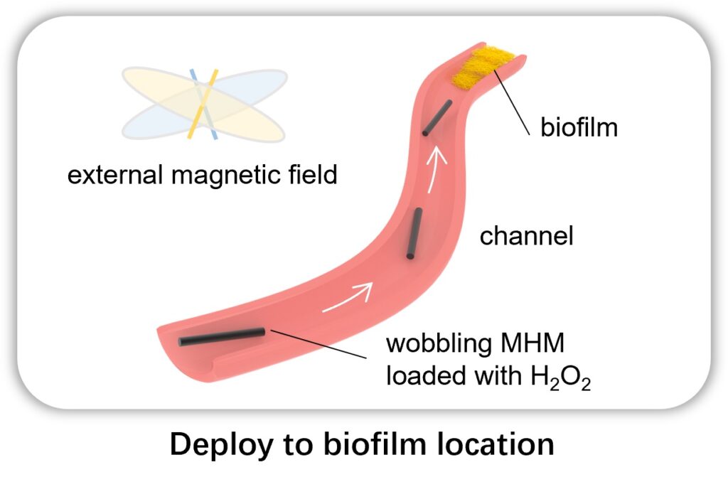 Driven by the external magnetic field, the micromachine moves to the biofilm location with a wobbling motion.