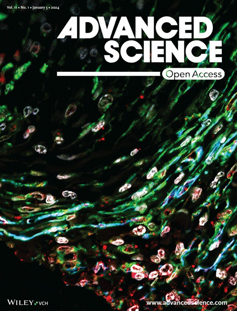 研究成果已刊載於國際頂尖科學期刊《Advanced Science》。