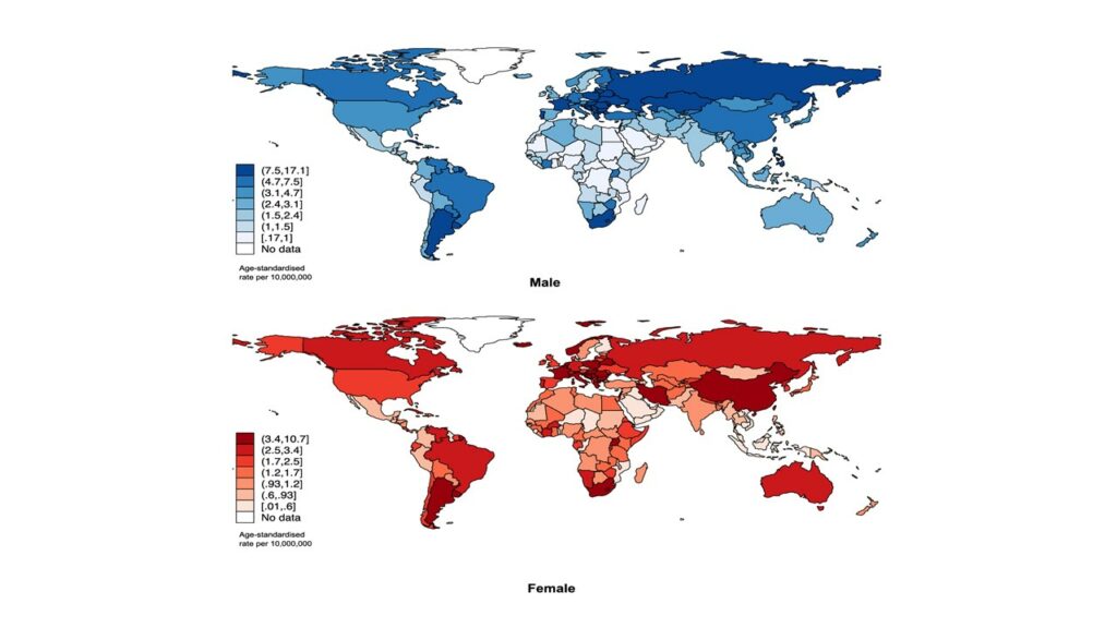 Despite the decline in the global incidence of tracheal cancer, the rising incidence among the female population and younger individuals in certain regions calls for the need of a greater effort in health education and early intervention.
