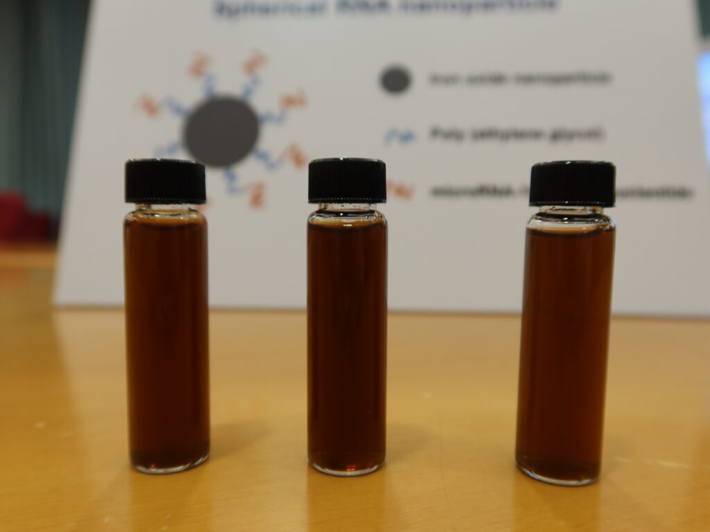 The novel RNA nanoparticles are placed in a aqueous solution.