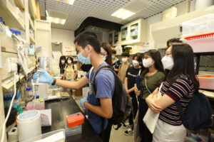 Guided laboratory tour of the Faculty of Engineering