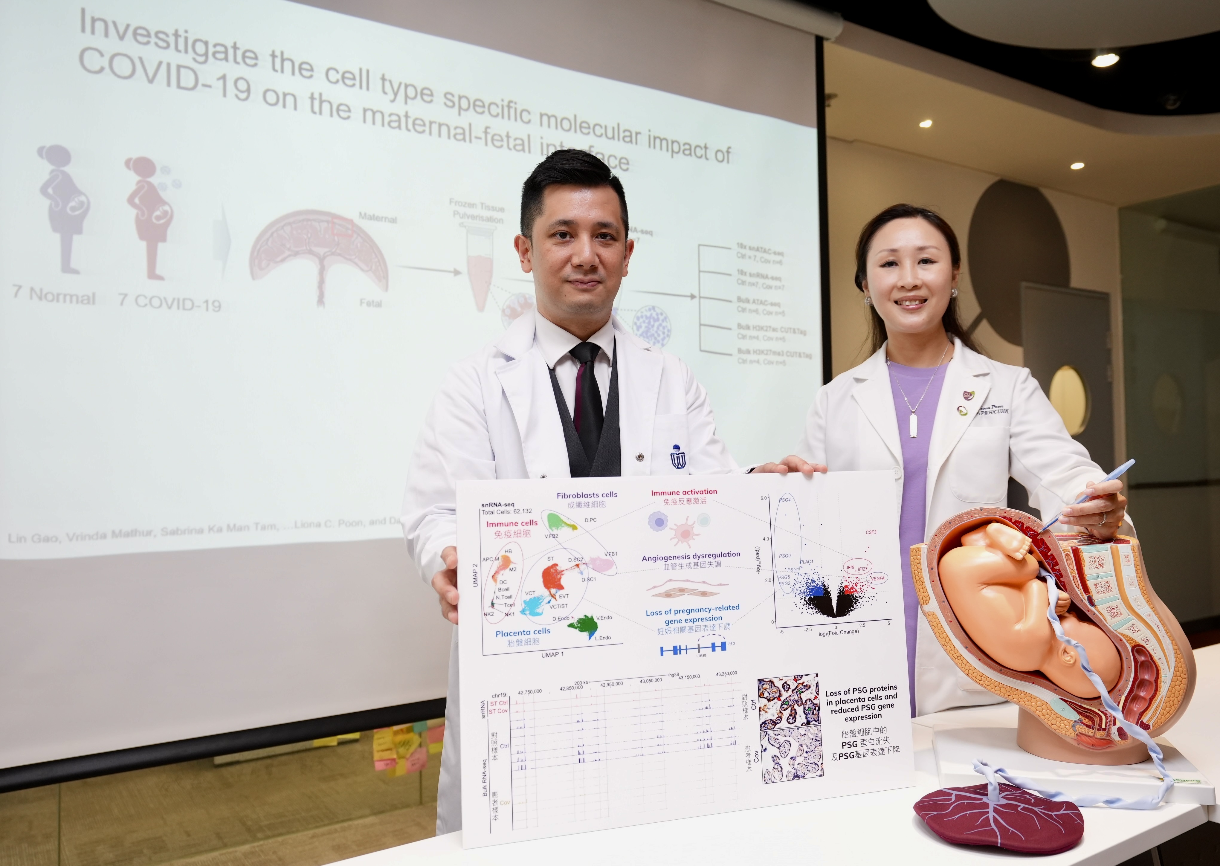 Covid-19 in Pregnancy; scientific studies