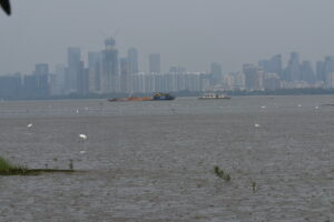 Deep Bay is in close proximity to the Shenzhen metropolis. (Photo: S Y Lee)