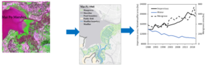The research team found that water bodies such as mudflat, fishponds and geiwais have reduced coverage but impervious surface coverage has increased.