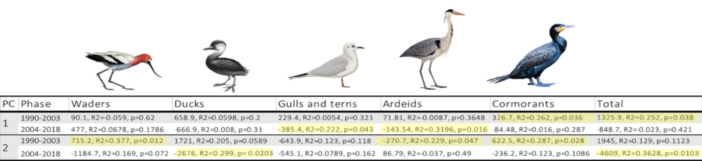 Account of wintering waterbirds at Deep Bay is categorised into six distinct feeding guilds.