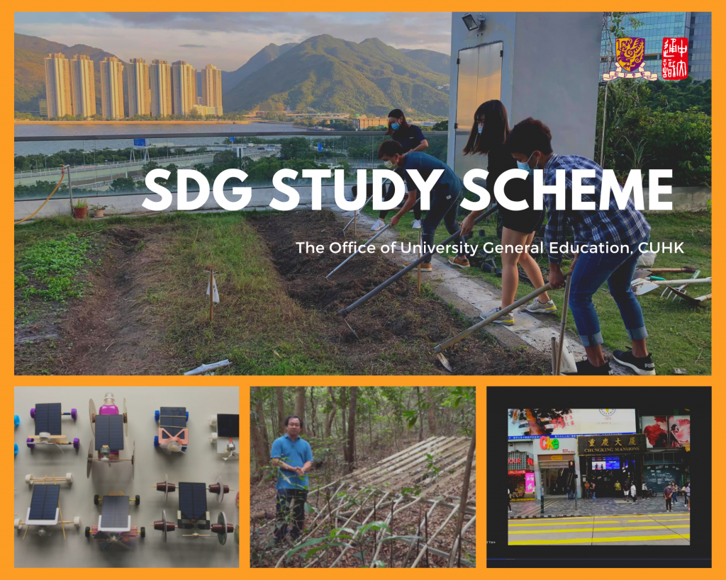 The SDG Study Scheme combines knowledge-based learning with experiential learning.