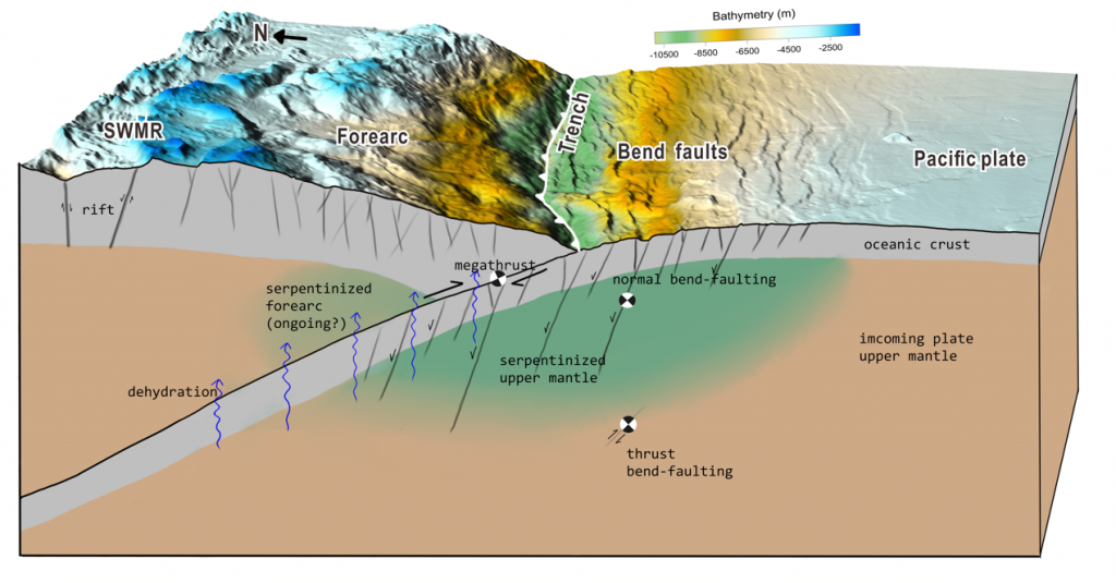 Figure 2:  Pervasive faults within the Pacific plate are generated by plate bending before it is subducted, providing pathways to transport water into the Earth. Under certain temperature and pressure conditions, seawater interacts with rocks to form hydrous minerals (green area: serpentinized upper mantle) that lock the water into the rock. Then the water is carried into the subduction zone by the downgoing plate and some of it may be released by the dehydration process.