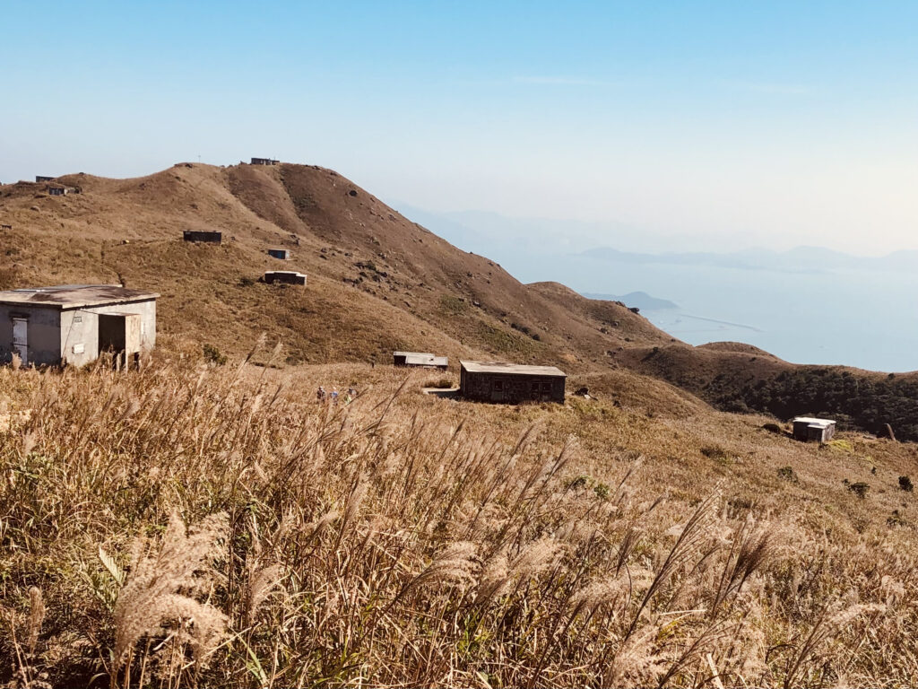 Many people visit Sunset Peak because of its scenic autumnal grasses.