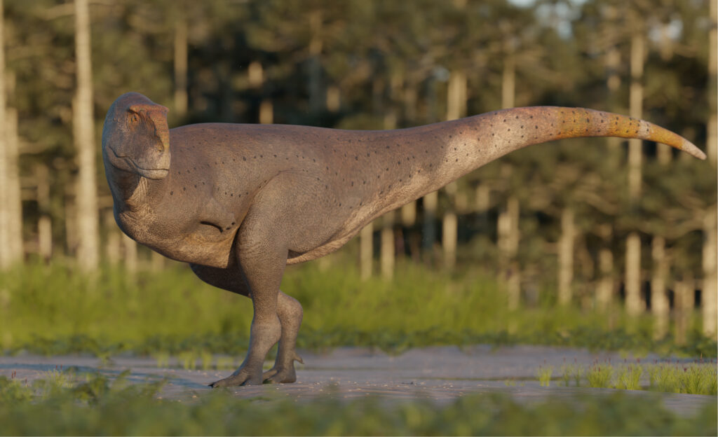 A research team led by a CUHK scholar and a National Geographic Explorer discovered a new species of abelisaurid theropod in Patagonia called Koleken inakayali. Their discovery increases the diversity of these dominant carnivores within Late Cretaceous terrestrial ecosystems. Image Credit: Illustration by Gabriel Diaz Yantén.